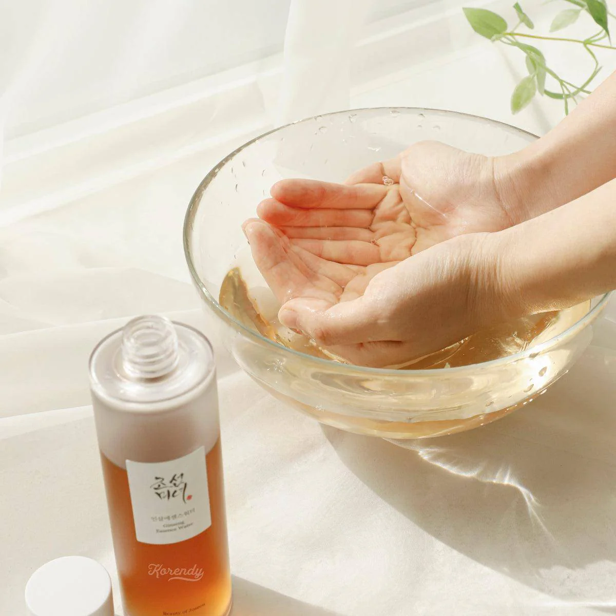 Beauty of Joseon - Ginseng Essence Water (Besleyici Ginseng Suyu Toniği) - Image 5