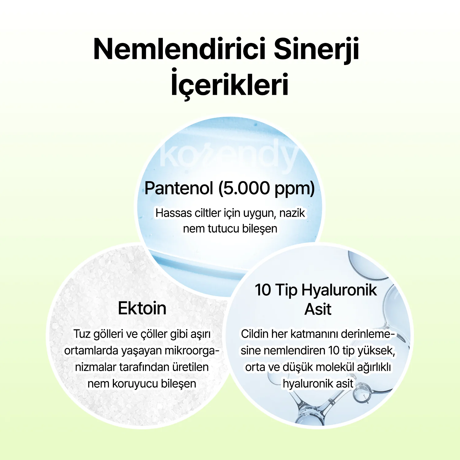 By Wishtrend - Green Tea & Ceramide Barrier Cream (Bariyer Destekleyici Yeşil Çay PDRN ve Seramid İçeren Bariyer Kremi) 50g - Image 13