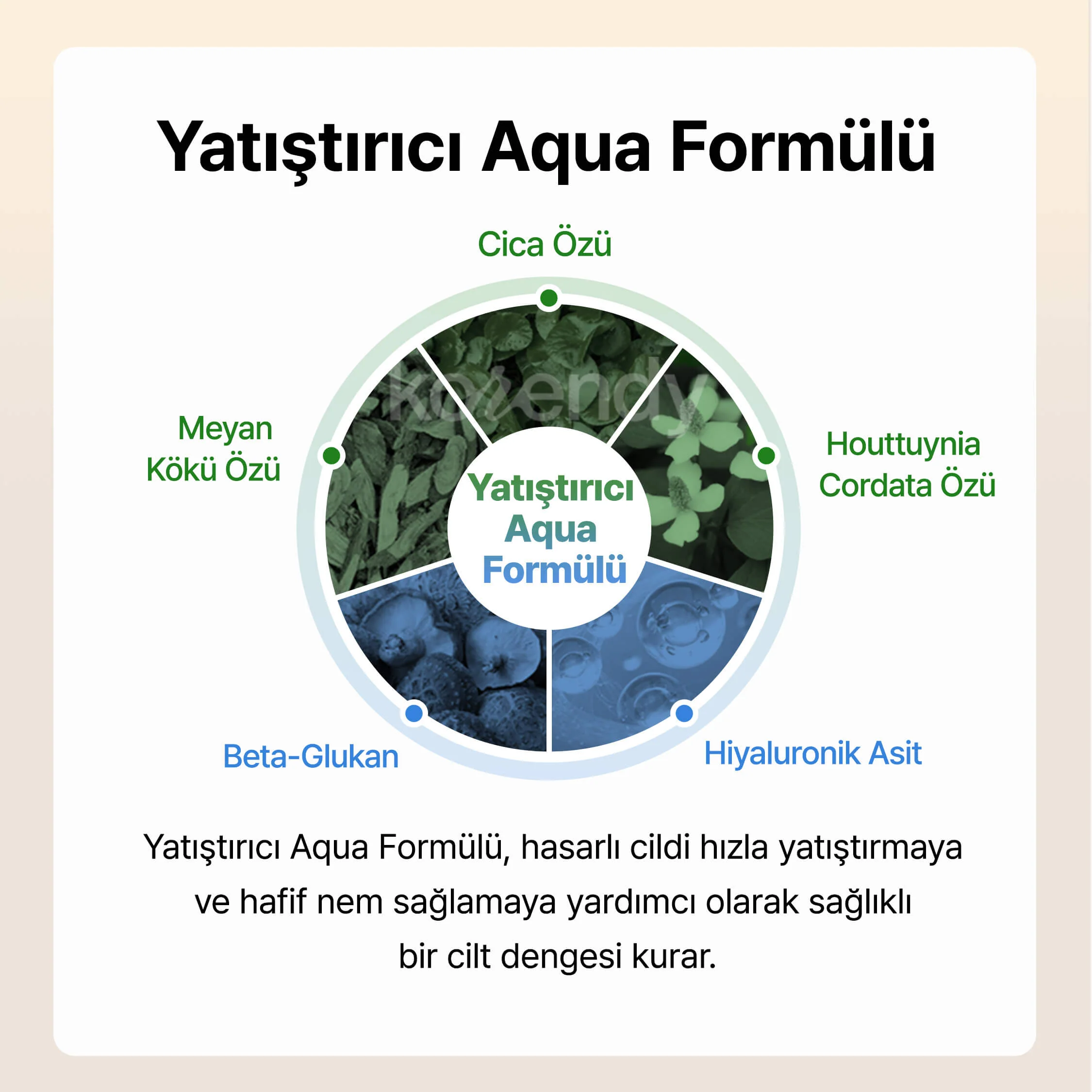 By Wishtrend - Mandelic Acid Gentle Exfoliating Toner (Pürüz ve Geniş Gözenek Önleyici Ölü Deri Arındırıcı Mandelik Asitli Peeling Toniği) - Image 11