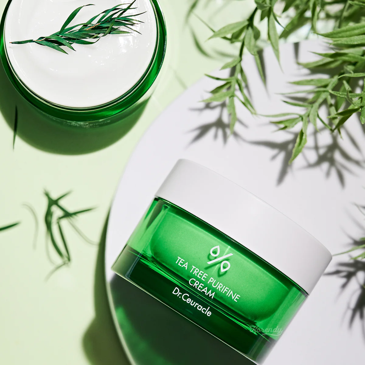 Dr.Ceuracle - Tea Tree Purifine 80 Cream (Bariyer Koruyucu Gözenek Karşıtı Çay Ağacı Kremi) 50gr - Image 3