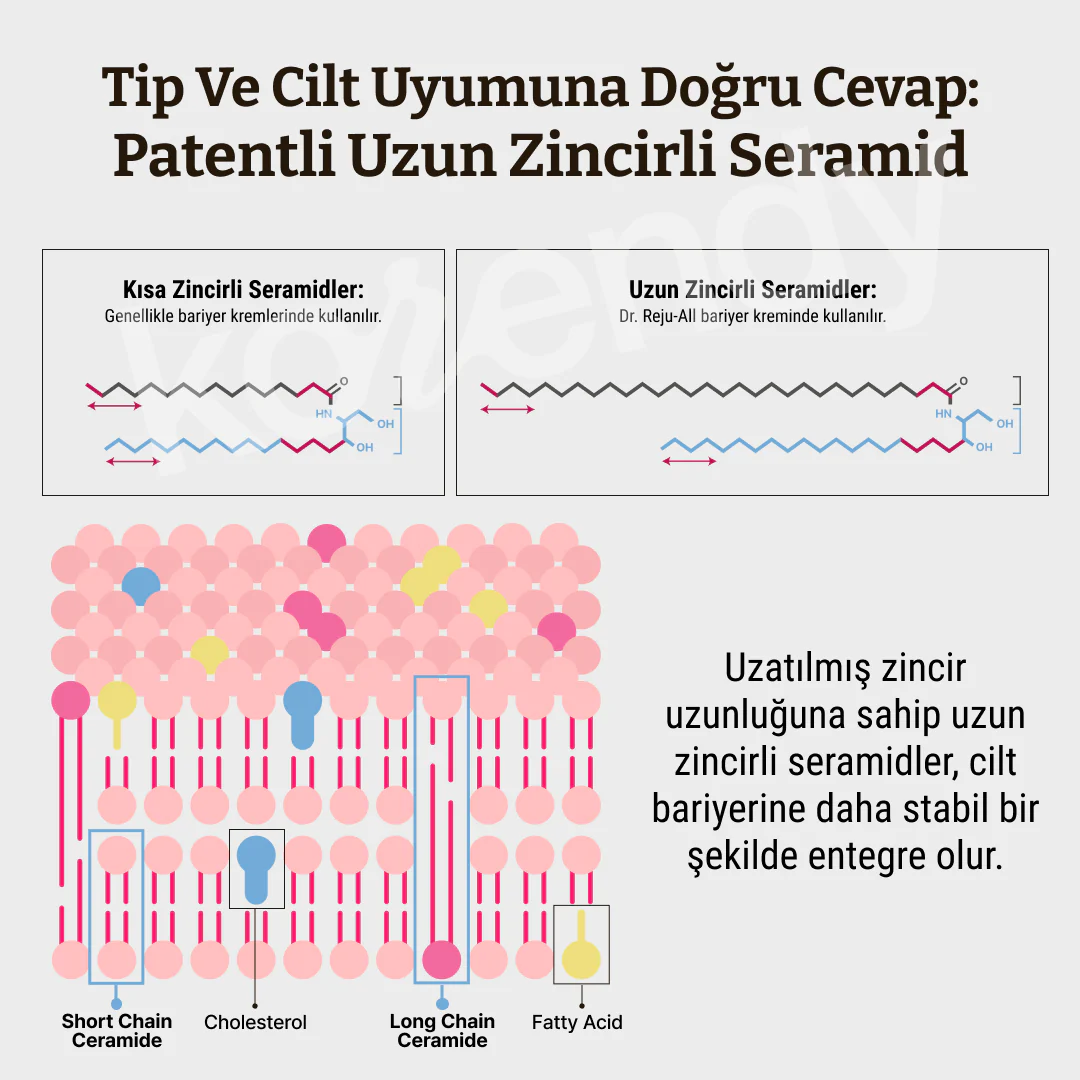 Dr. Rejuall - Advanced LC-Ceramide Barrier Cream (Bariyer Koruyucu ve Kuruluk Kaynaklı Kızarıklık Giderici Uzun Zincirli Seramidli Krem) 50ml - Image 5