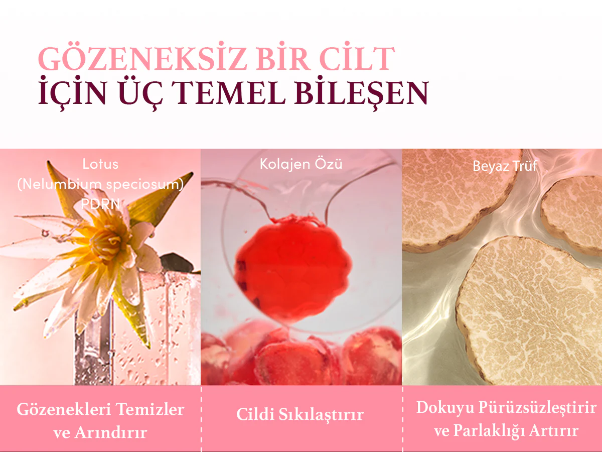 Eqqualberry - Collagen Pore Tight Up Gel Toner 60'lı Pad (Gözenek Önleyici ve Elastikiyet Koruyucu Kolajenli Jel Ped) 140ml - Image 6