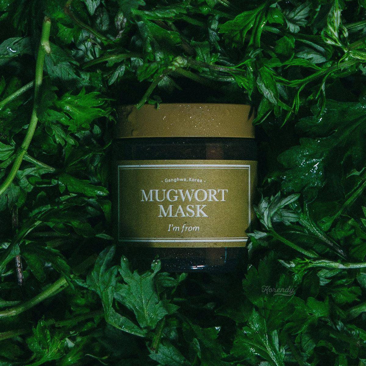 I'm From - Mugwort Mask (Rahatlatıcı Arındırıcı Konsantre Pelin Otu Maskesi) - Image 7