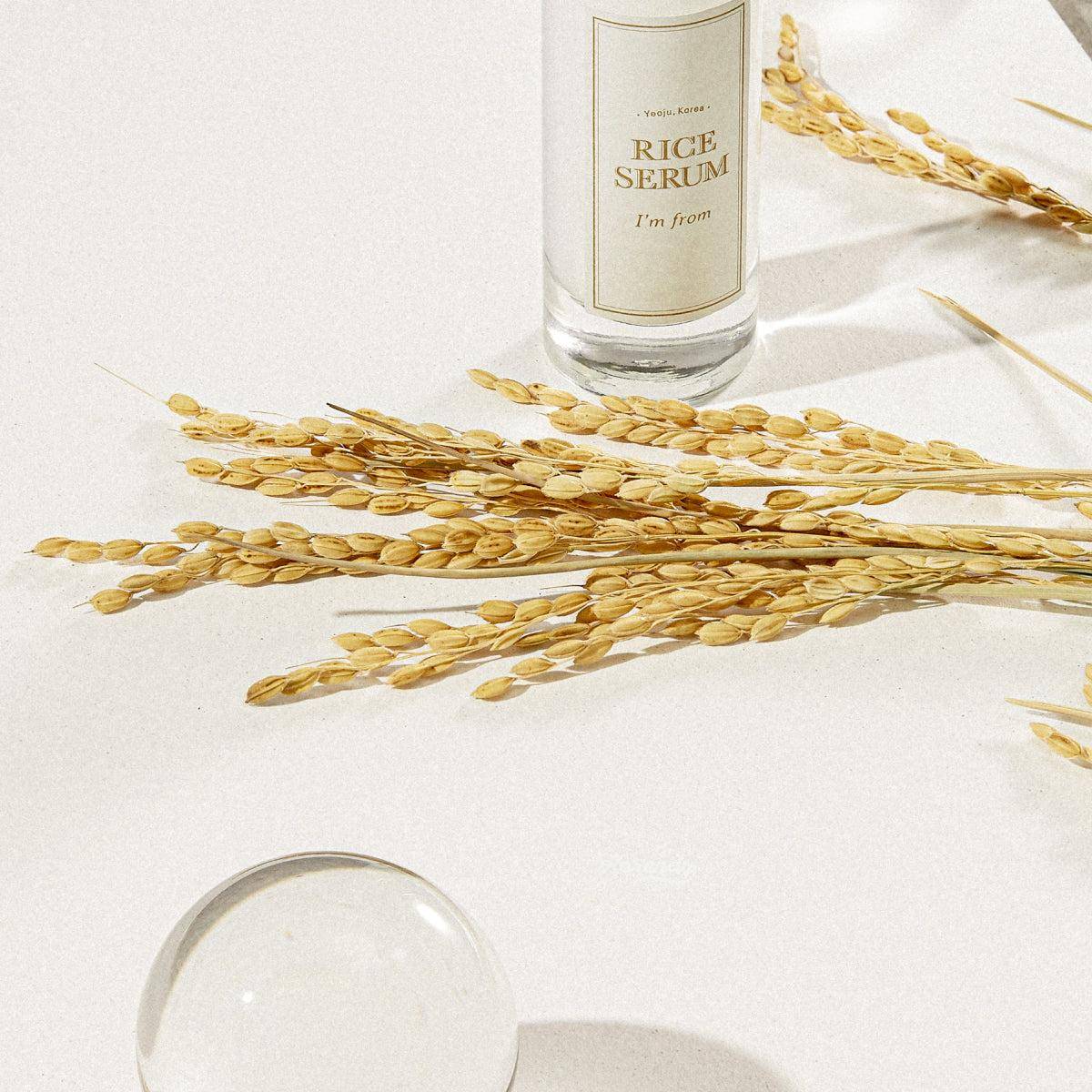 I'm From - Rice Serum (Parlatıcı ve Besleyici Niacinamidli Pirinç Serumu) 30ml - Image 3