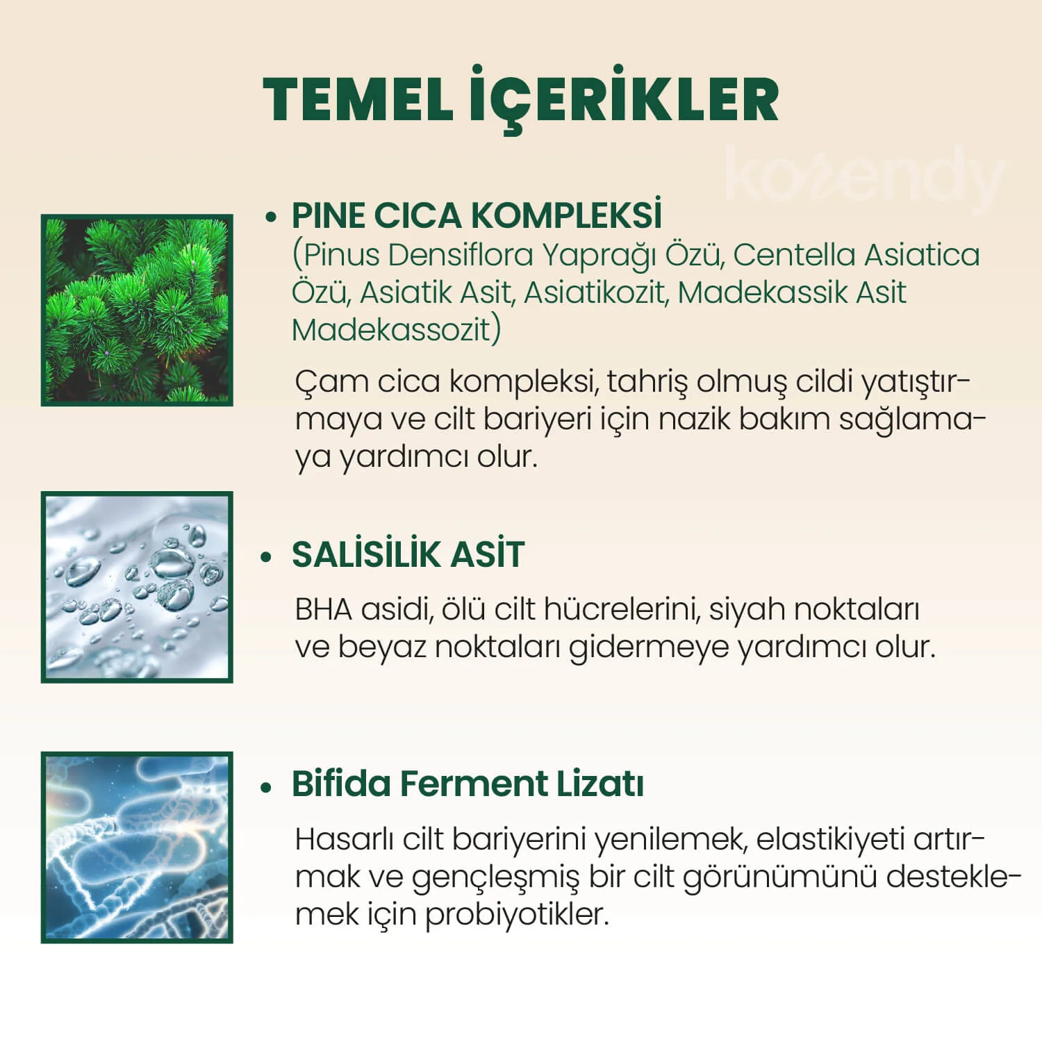 K-Secret - SEOUL 1988 Cleansing Foam Pine Cica 1% + Probiotics  (Siyah & Beyaz Nokta Önleyici ve Stres Karşıtı Çam Cica Özlü Köpük Temizleyici) 150ml - Image 6