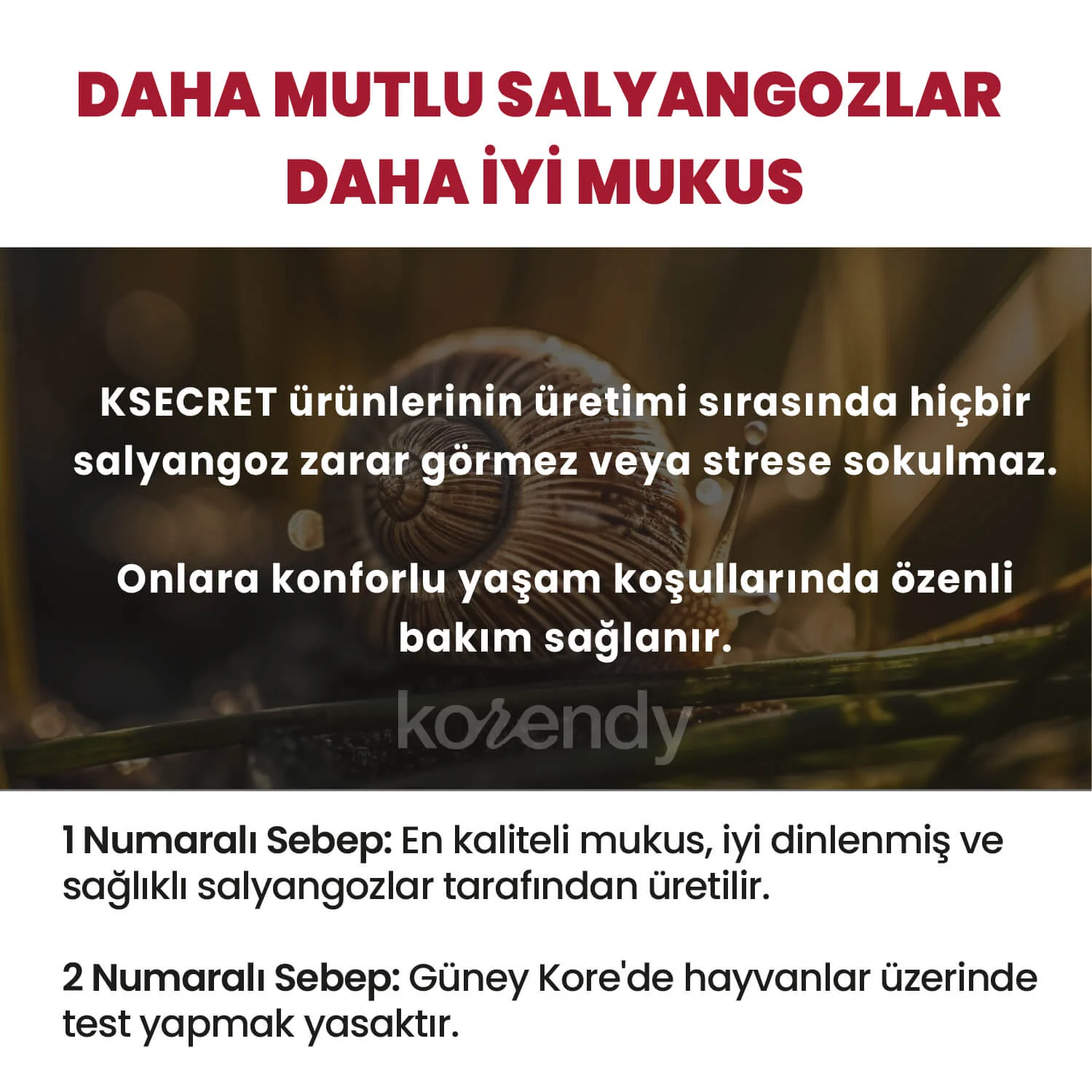 K-Secret - SEOUL 1988 Essence  Snail Mucin 97% + Rice (Besleyici ve Parlaklık Veren %97 Salyangoz Müsini ve 3 Çeşit Pirinç Özlü Esans) 100ml - Image 9