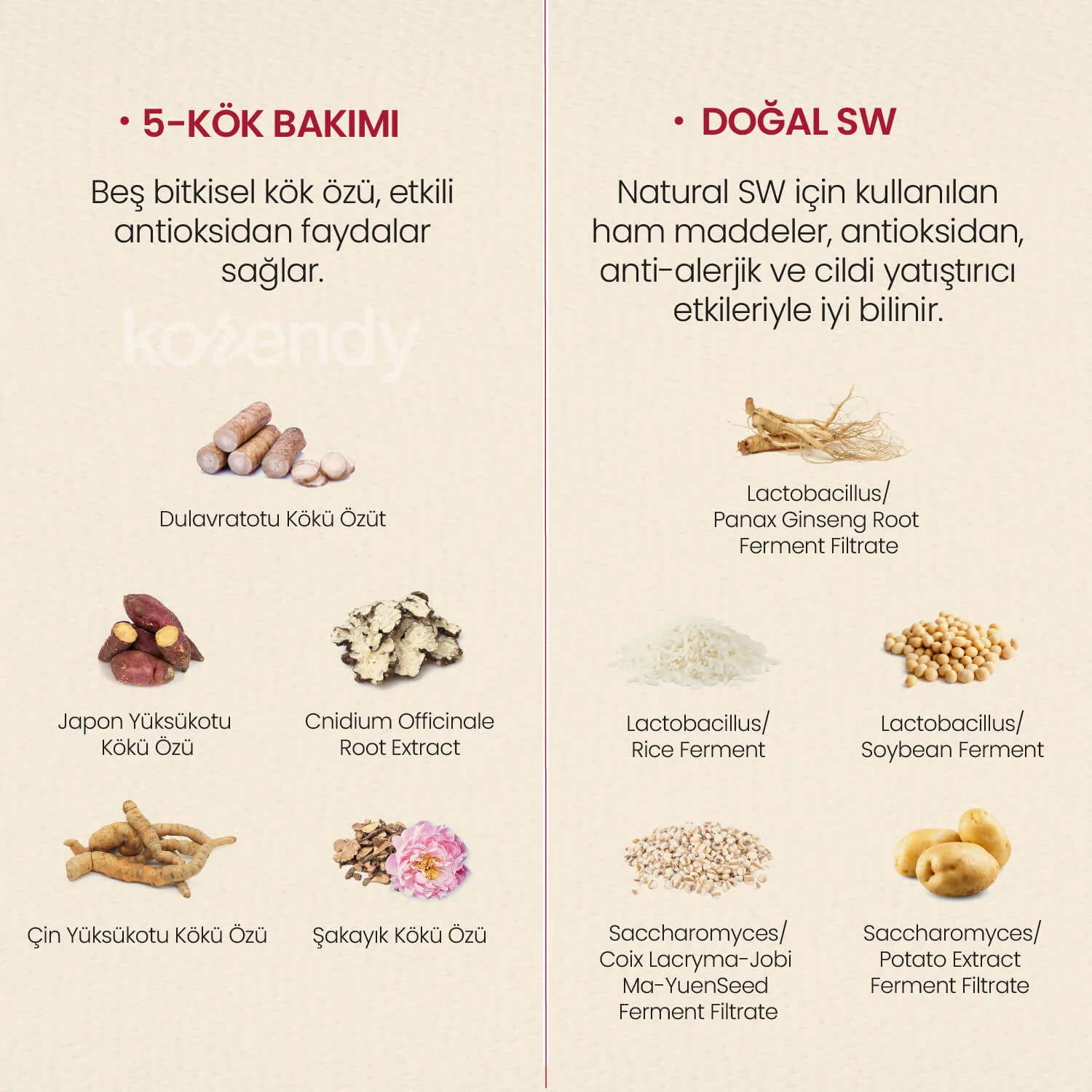 K-Secret - SEOUL 1988 Eye Cream Retinal Liposome 4% + Fermented Bean (İnce Çizgi Önleyici ve Elastikiyet Koruyucu 3 Peptitli ve Retinalli Göz Kremi) 30ml - Image 7
