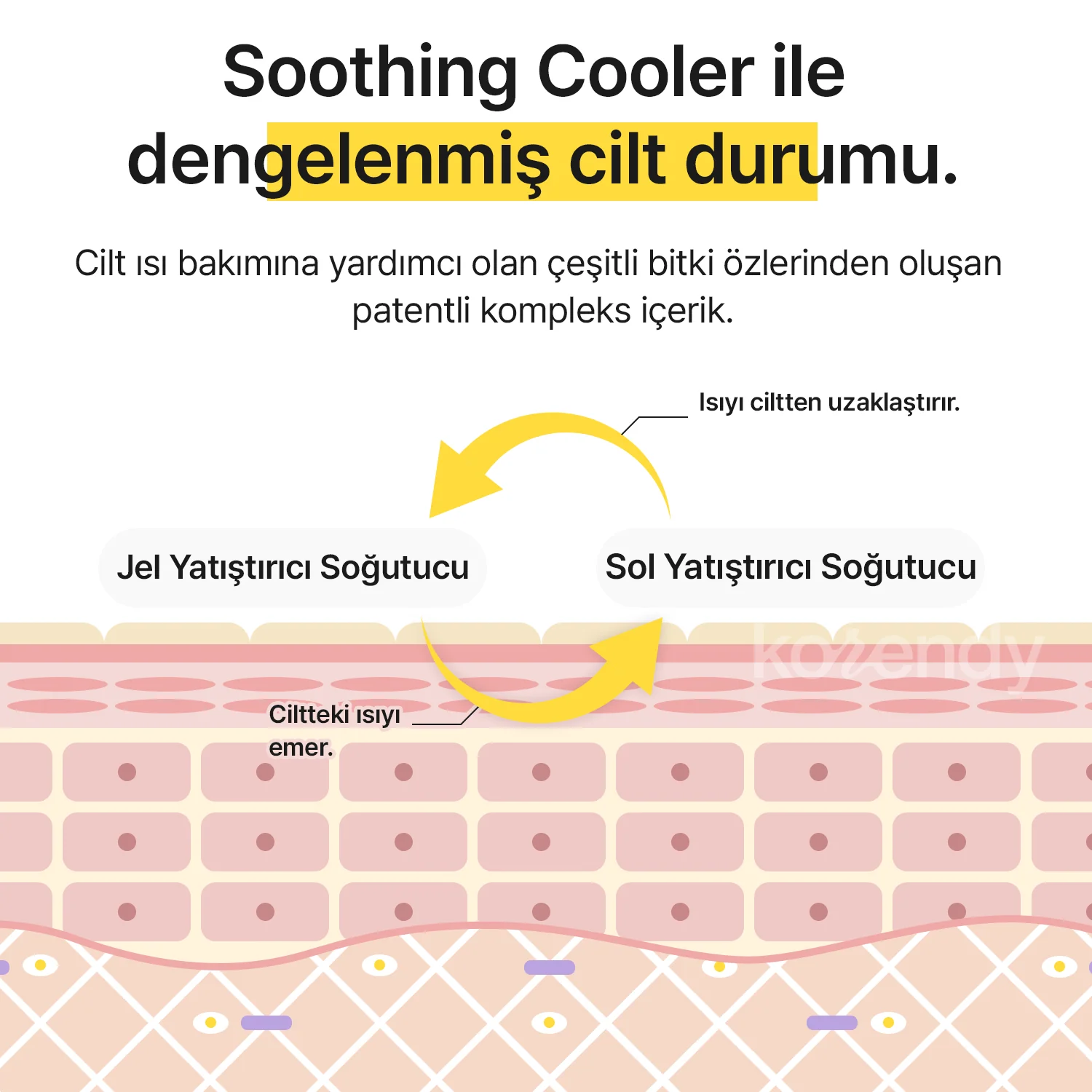 Klairs - All Day Airy Sunscreen SPF 50+ PA++++ (Hafif Dokulu Su Bazlı Güneş Koruyucu Krem) 50gr - Image 8