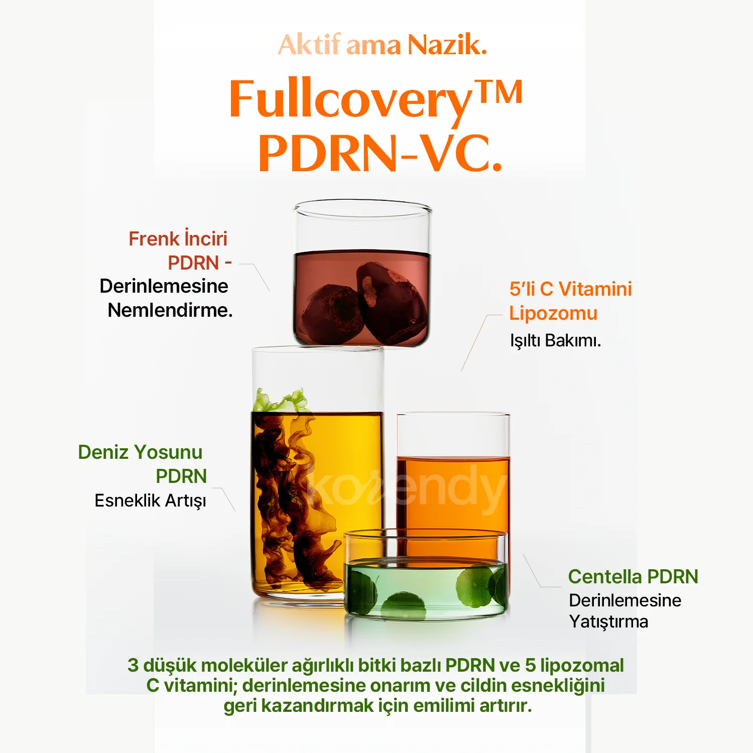 Klairs  - Vitamin PDRN Bouncy Pore Serum (Geniş Gözenek ve Elastikiyet Kaybı Önleyici Bitkisel PDRN ve Lipozomal C Vitaminli Serum) 35ml - Image 6