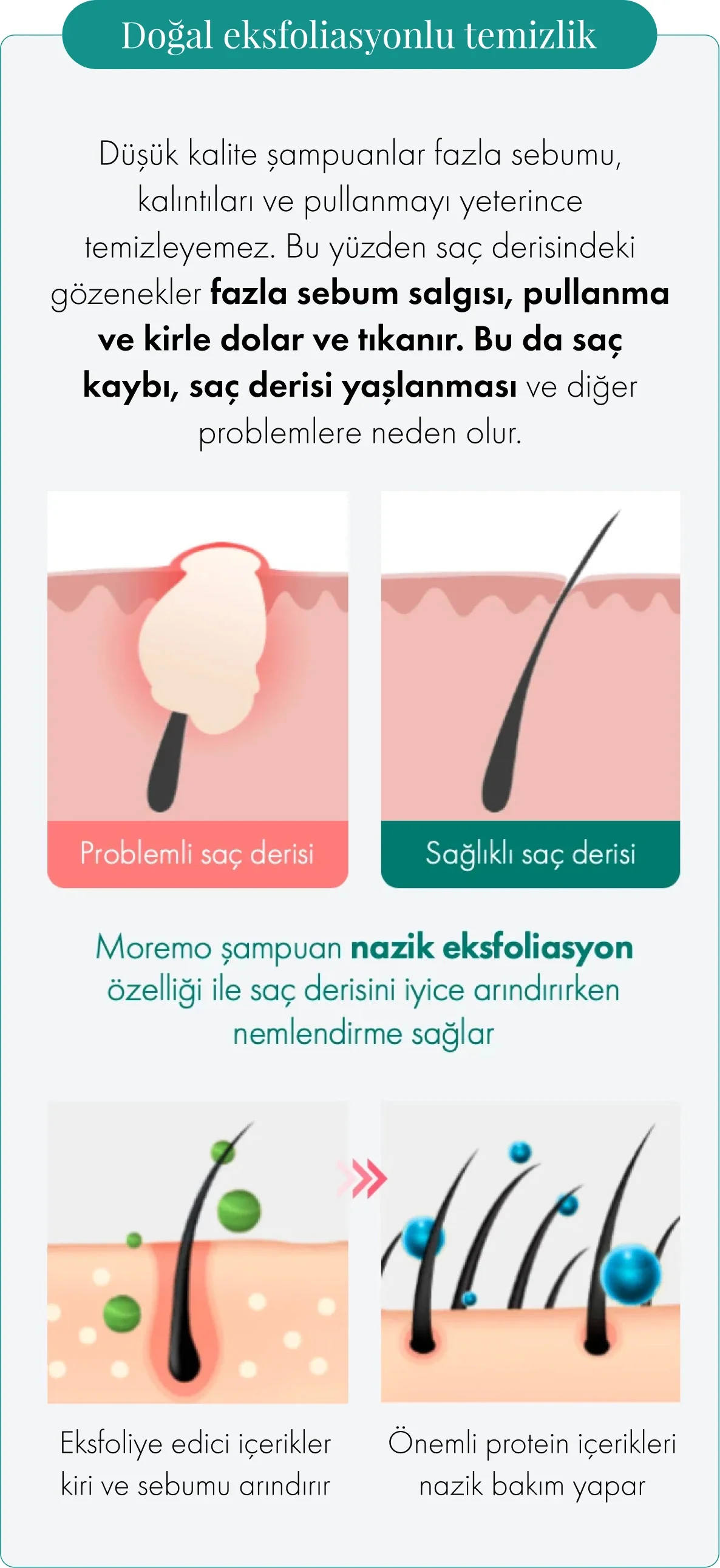 Moremo - Scalp Shampoo (Saç Derisi İçin Besleyici Mentollü Şampuan) 500ml - Image 2