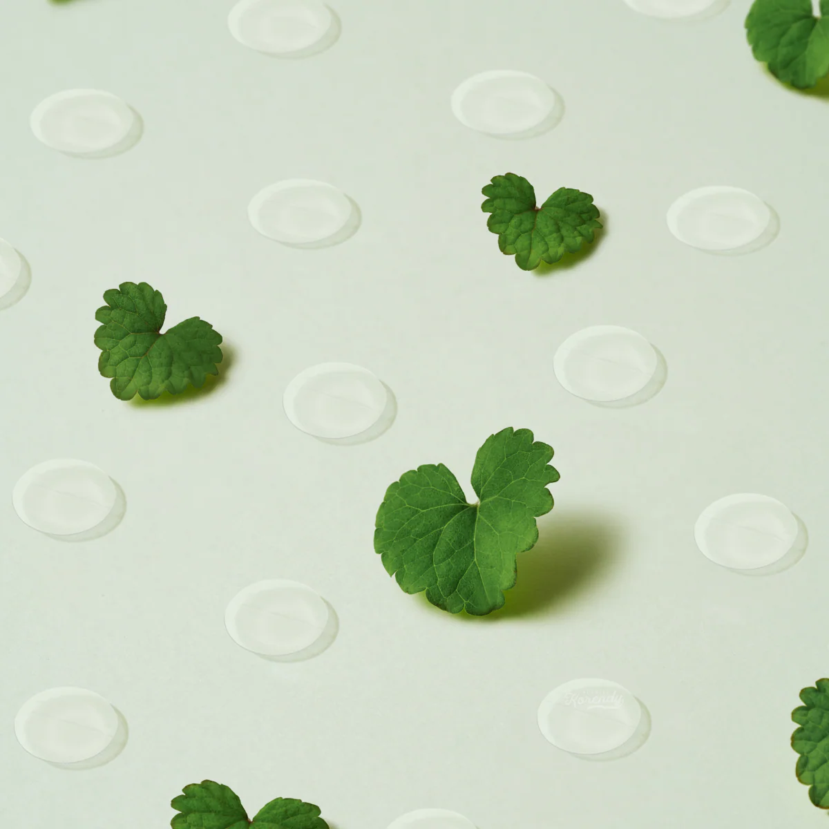 Purito - Wonder Releaf Centella Spot Patch (Akne Söndürücü Kızarıklık Karşıtı Centella Özlü Bant) 51li - Image 3