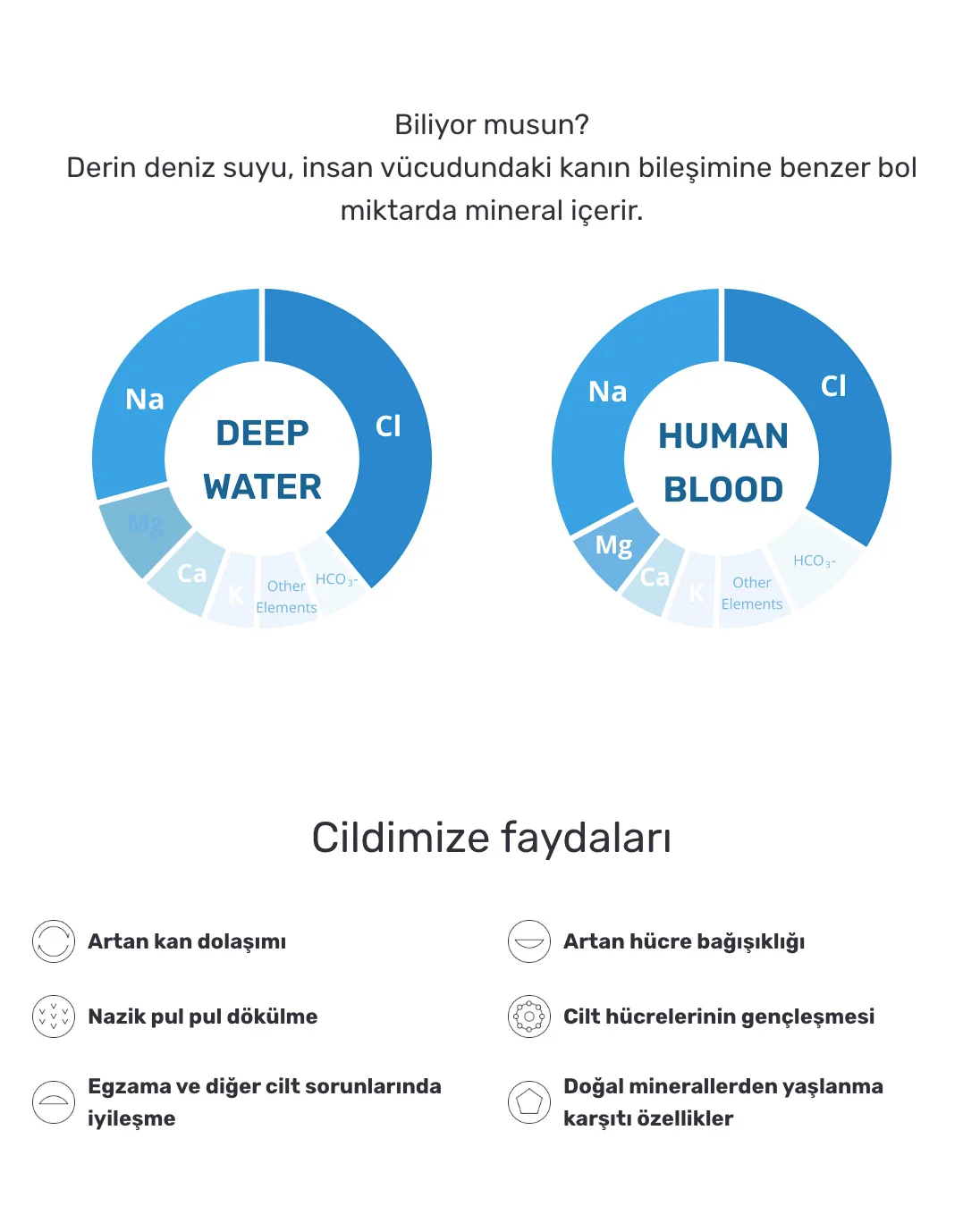 Round Lab - 1025 Dokdo Cream (24 Boyunca Nem ve Hidrasyon Sağlayan Hyaluronik Asitli ve Seramidli Krem) 80ml (%30 İndirimli) - Image 6