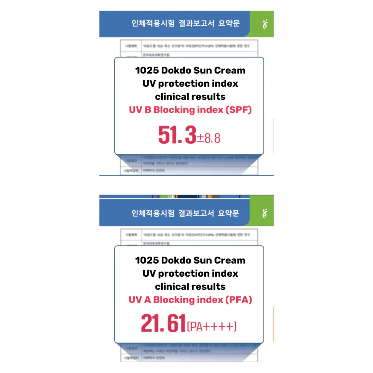 Round Lab - 1025 Dokdo Sunscreen (Leke Karşıtı Bakım Yapan Yeşil Çaylı Güneş Kremi) 50ml - Image 3