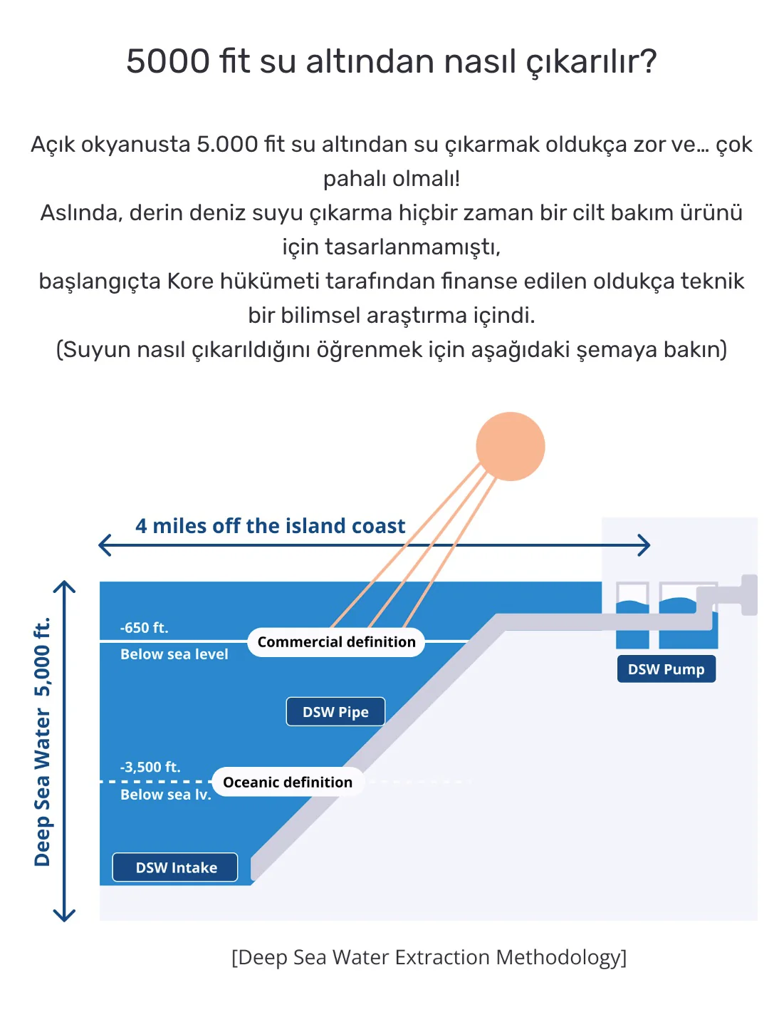 Round Lab - 1025 Dokdo Toner (Yoğun Nemlendirici ve Leke Karşıtı Ödüllü Deniz Suyu Toniği) 200ml - Image 8