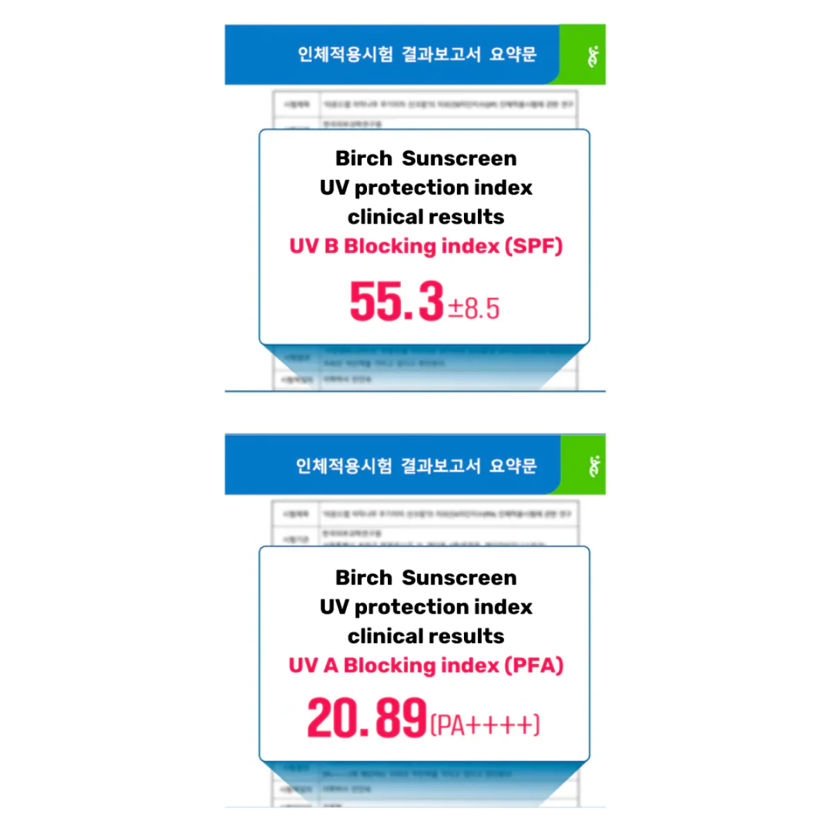 Round Lab - Birch Juice Mild-Up Sunscreen (Cilt Tonu Eşitleyici ve Nemlendirici Huş Ağacı Özlü Mineral Güneş Kremi) 50ml - Image 3