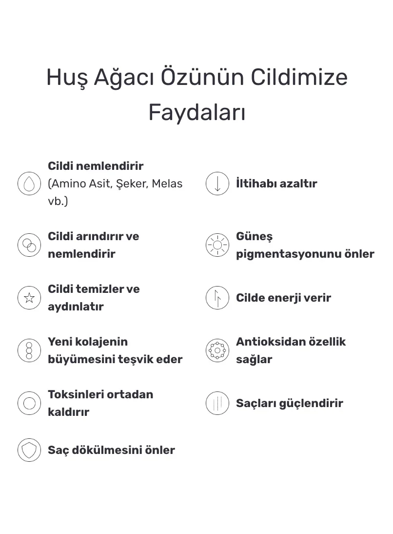 Round Lab - Birch Juice Moisturizing Cream (Uzun Süre Nemlendirici Komedon Karşıtı Huş Özlü Krem) 80ml - Image 6