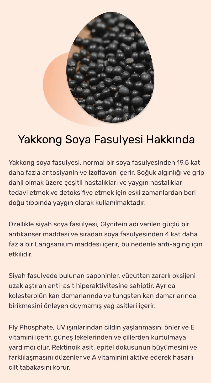 Round Lab - Soybean Nourishing Cream (Yoğun Nemlendirici ve Kırışıklık Önleyici Soya Özlü Besleyici Krem) 80ml - Image 5