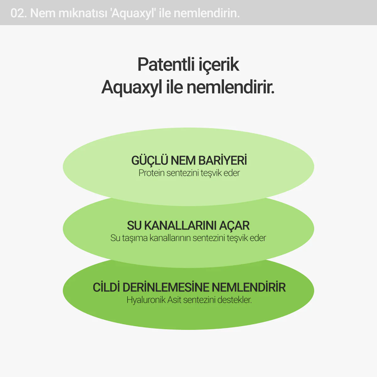 Rovectin - Calming Lotus Cream 60ml (Cilt Hasarına Karşı Koruyucu Lotus Çiçekli  Nem Hapsedici Krem) 60ml (%30 İndirimli) - Image 6